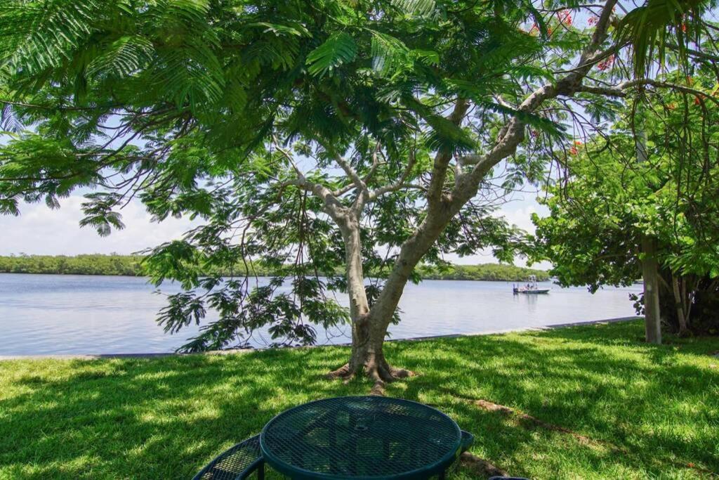 Riverview, Studio 507, Beach Steps Away!+Pool+Wifi รัสกิน ภายนอก รูปภาพ